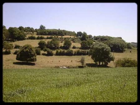 Bleds et autres trous perdus de Vend�e